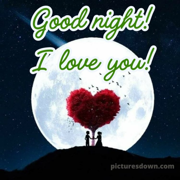 Good night i love you picture 12 free download