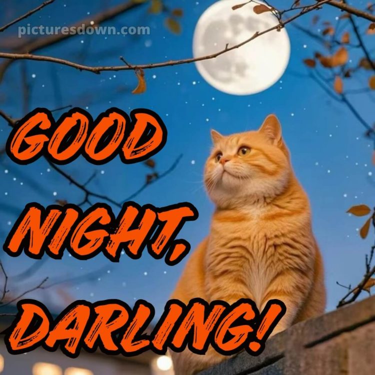 Good night i love you picture 3 free download