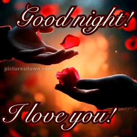 Good night i love you picture 6 free download