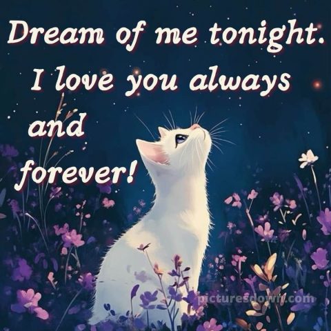 Good night image love picture 13 free download