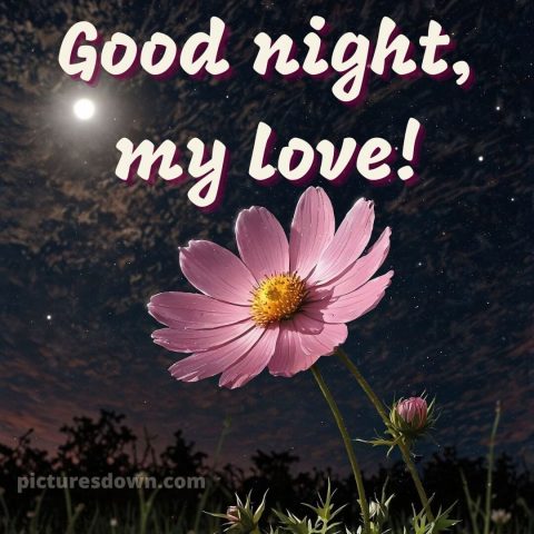 Good night image love picture 14 free download