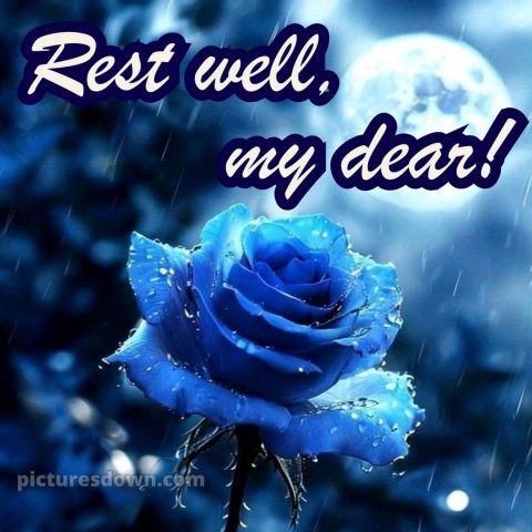 Good night image love picture 7 free download