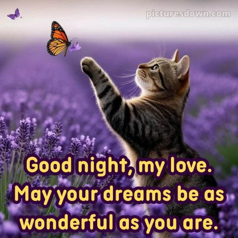 Good night images with love picture 12 free download