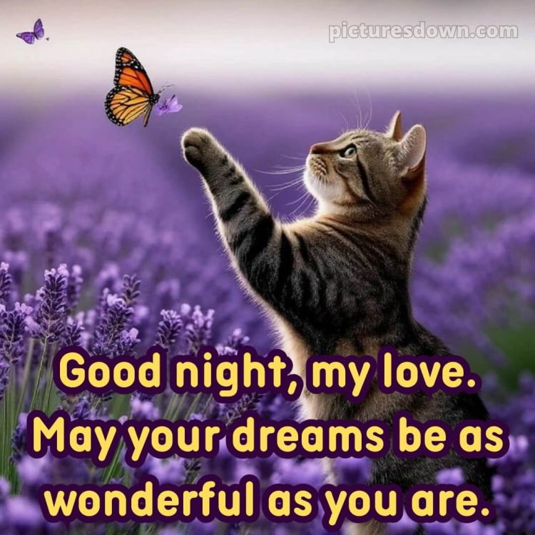 Good night images with love picture 12 free download