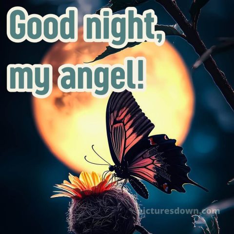 Good night images with love picture 14 free download