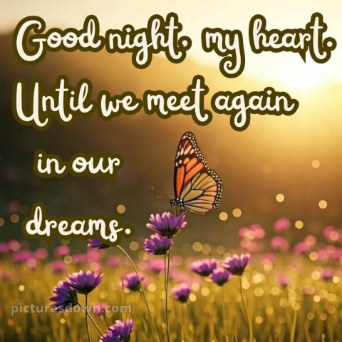 Good night images with love picture 4 free download