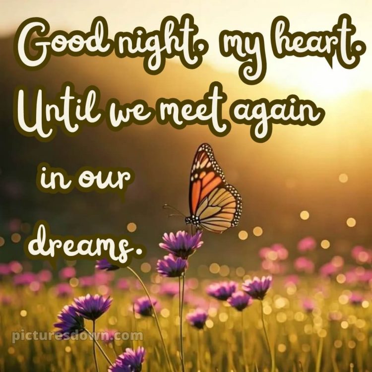 Good night images with love picture 4 free download