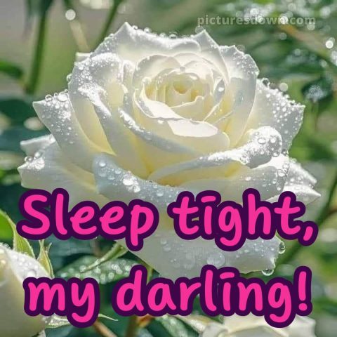 Good night images with love picture 5 free download