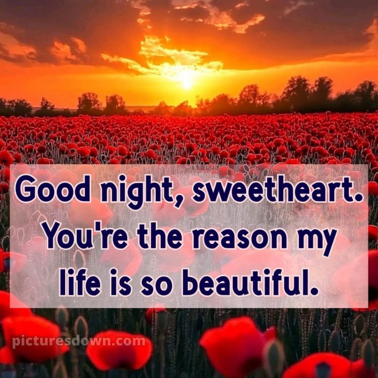 Good night love picture 10 free download