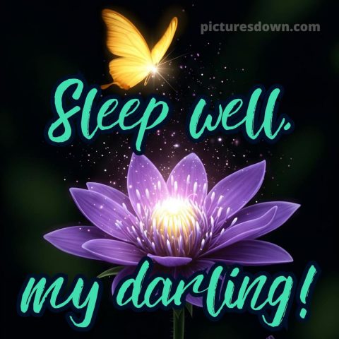 Good night love picture 13 free download