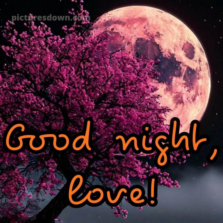 Good night love picture 14 free download