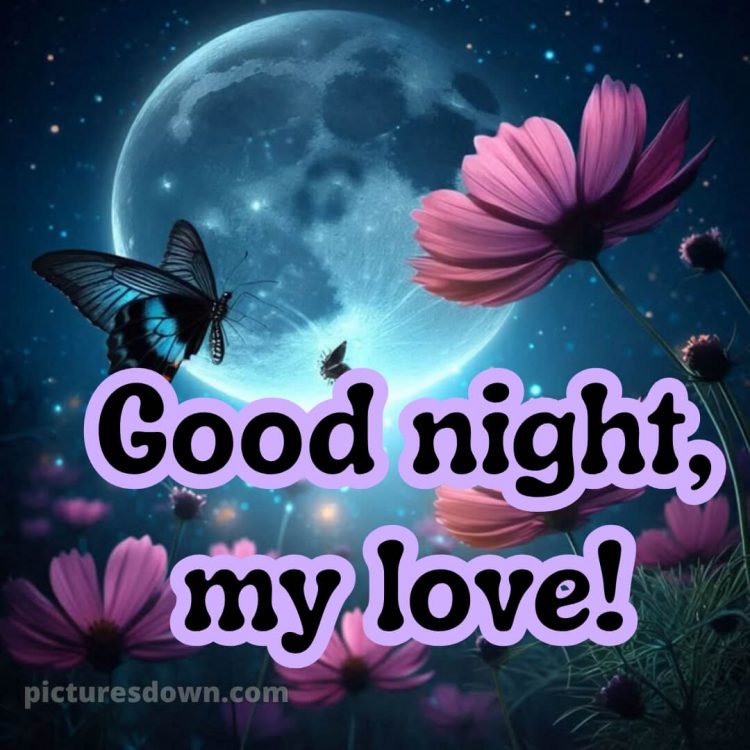 Good night love picture 2 free download