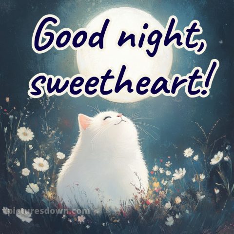 Good night love picture 3 free download