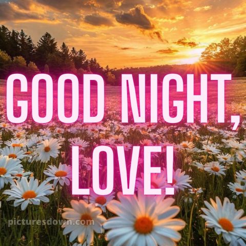 Good night love picture 4 free download