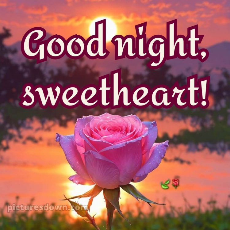 Good night love picture 5 free download