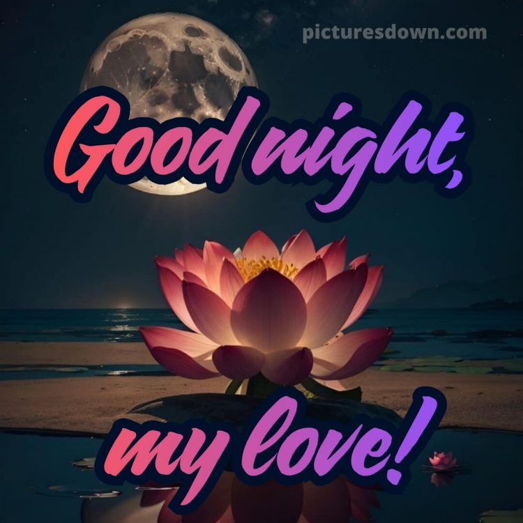 Good night love picture 9 free download