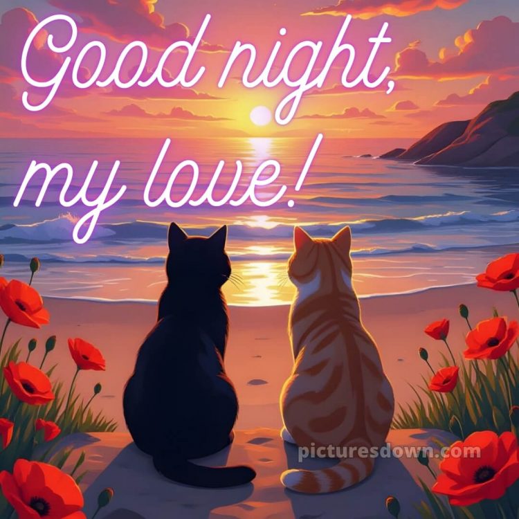 Good night love images 1 Good night love images picture 1 free download
