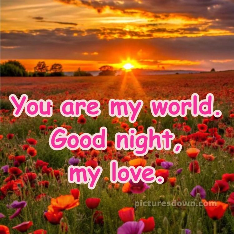 Good night love images picture 10 free download
