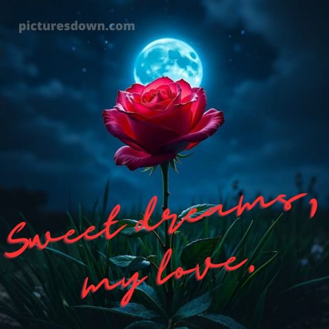 Good night love images picture 15 free download