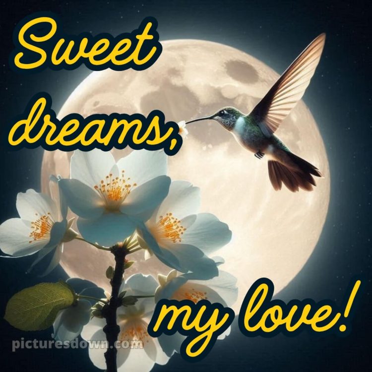 Good night love images picture 3 free download