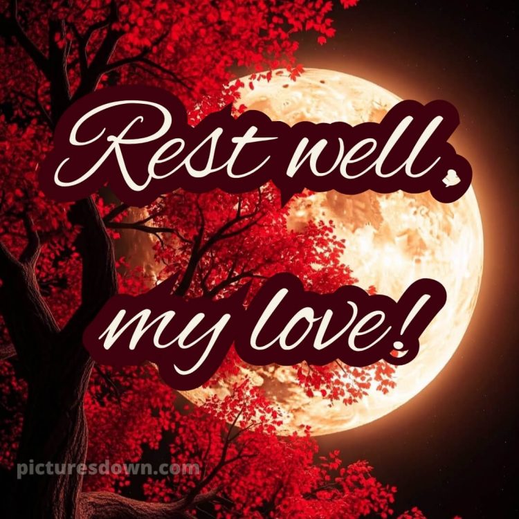 Good night love images picture 4 free download