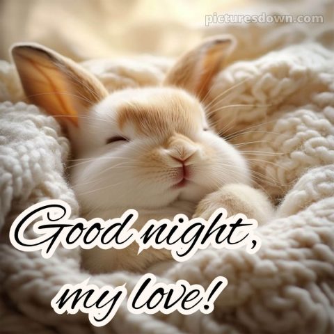 Good night love images picture 5 free download