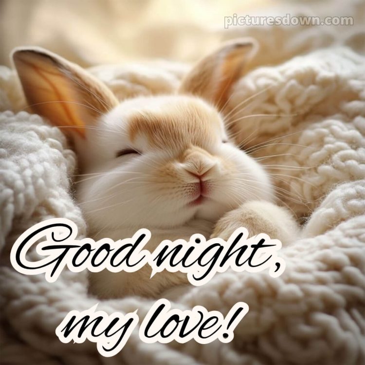 Good night love images picture 5 free download