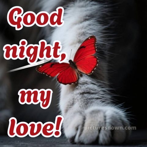 Good night love images picture 6 free download