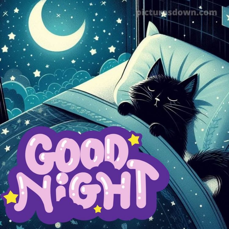 Good night love message picture 13 free download