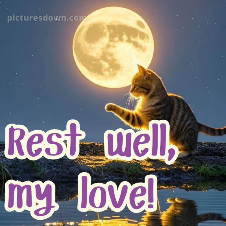 Good night love message picture 15 free download