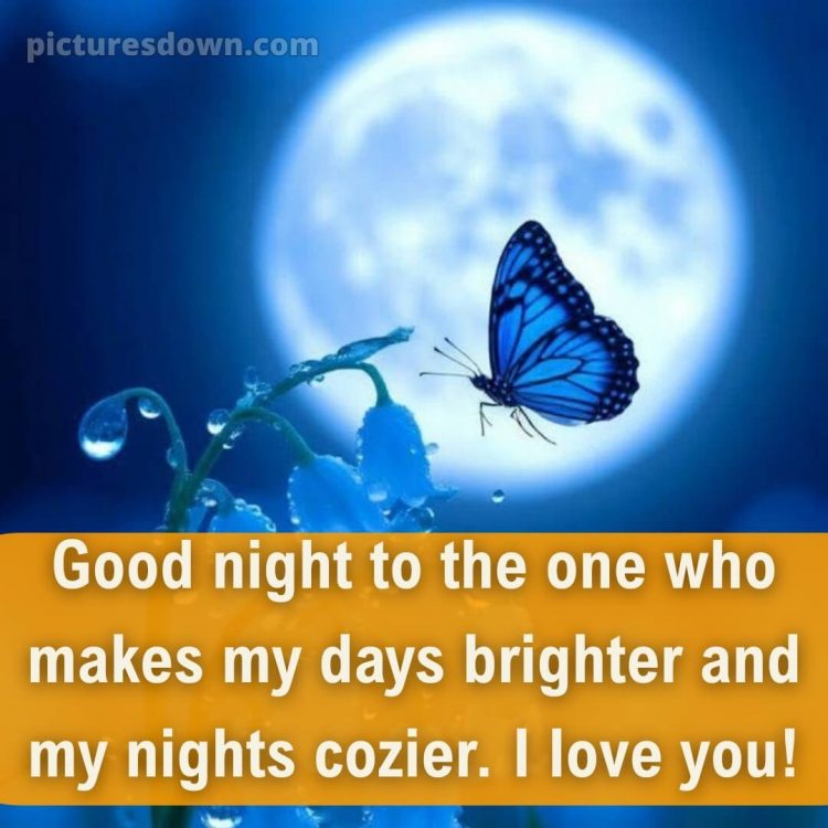 Good night love message picture 3 free download