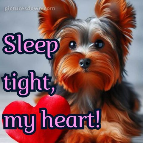 Good night love message picture 4 free download