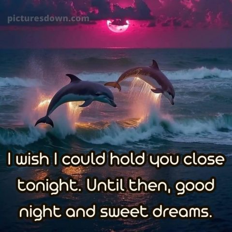 Good night love message picture 7 free download