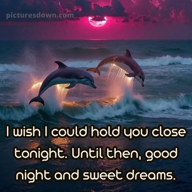 Good night love message picture 7 free download