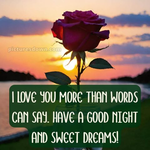 Good night love quotes picture 12 free download