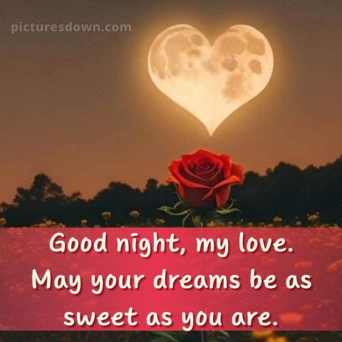 Good night love quotes picture 15 free download