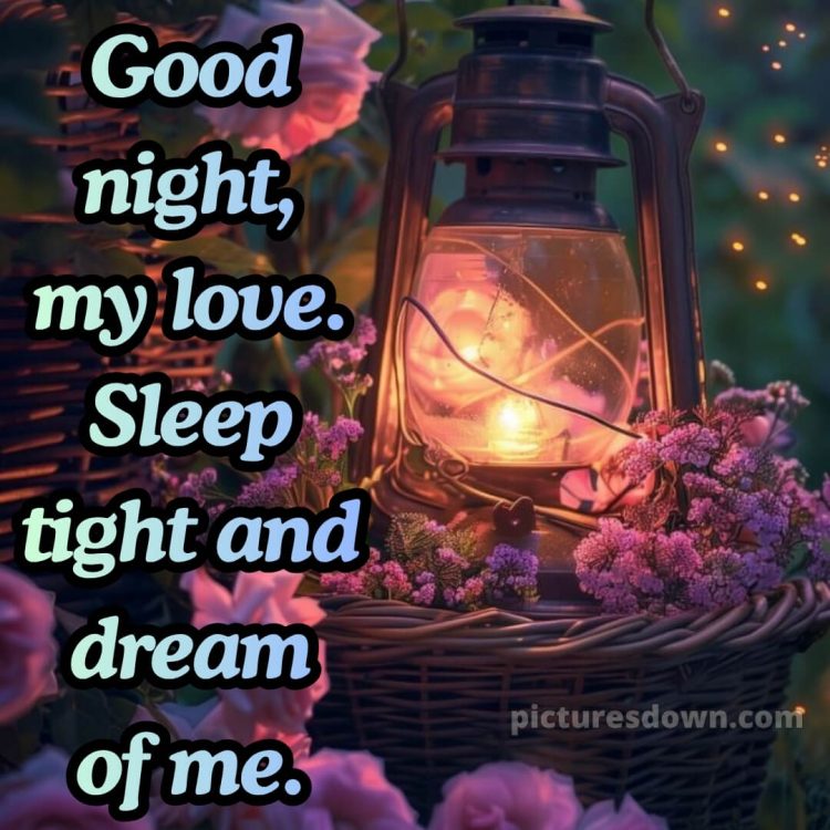Good night message for love picture 11 free download