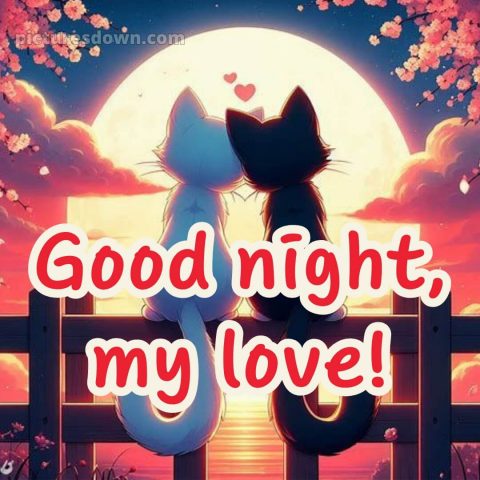 Good night message for love picture 15 free download