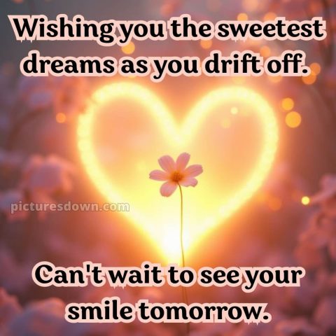 Good night message for love picture 5 free download