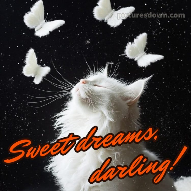 Good night message for love picture 7 free download