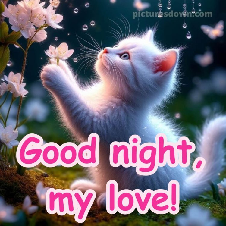 Good night message to my love picture 13 free download