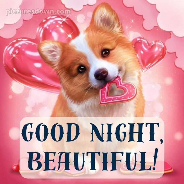 Good night message to my love picture 3 free download