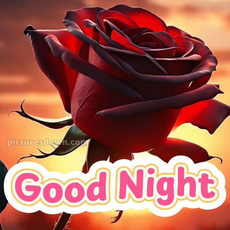 Good night messages for love picture 12 free download