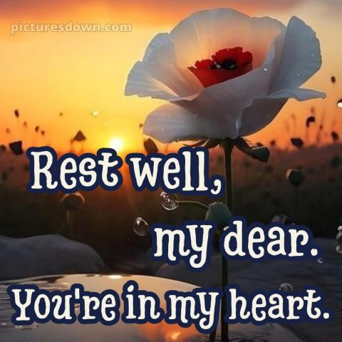 Good night msg for love picture 12 free download