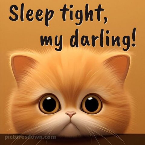 Good night msg for love picture 3 free download