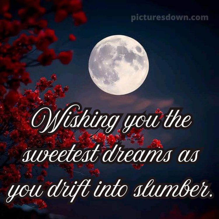 Good night msg for love picture 4 free download