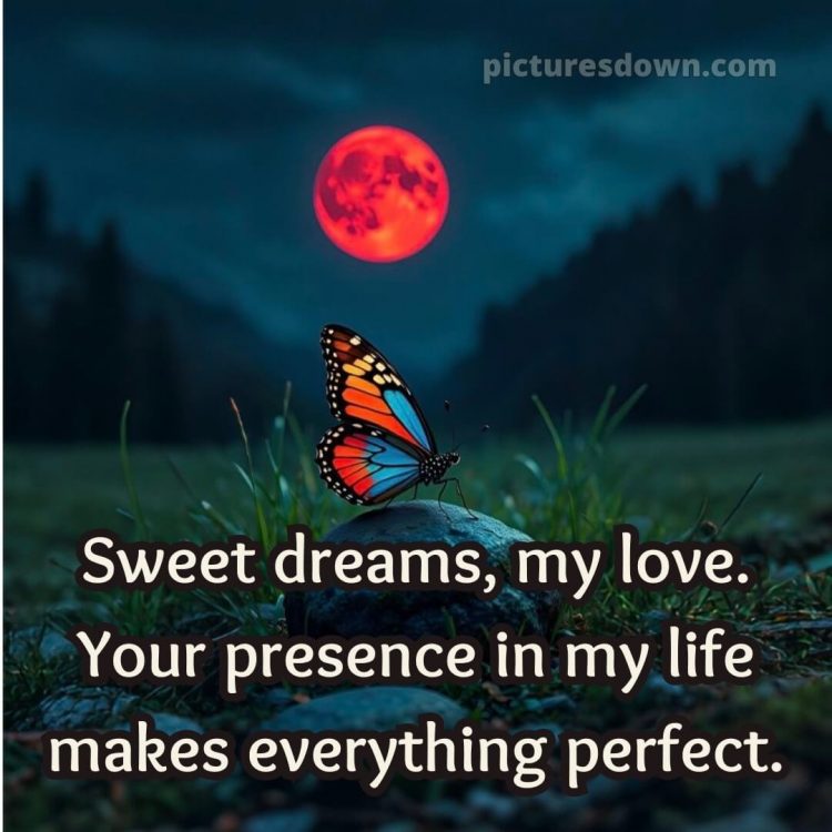 Good night my love picture 1 free download