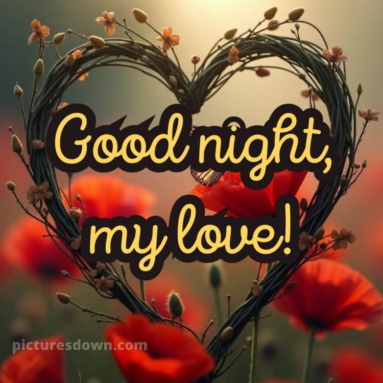 Good night my love picture 5 free download