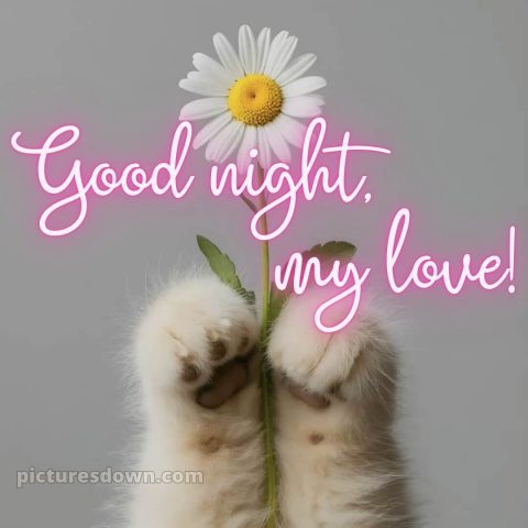 Good night my love picture 6 free download