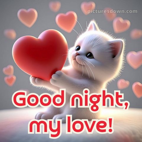 Good night my love picture 7 free download